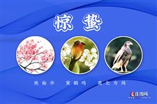 驚蟄三候:桃始華;黃鸝鳴;鷹化為鳩