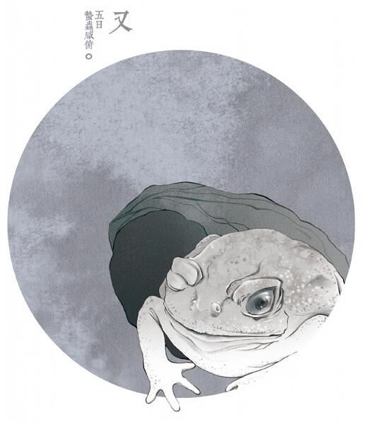 中国72物候之霜降,霜降分哪三候?