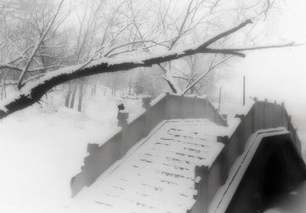 大雪 大雪