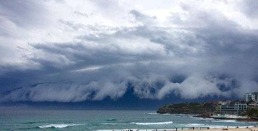 世界海啸日 世界海啸日