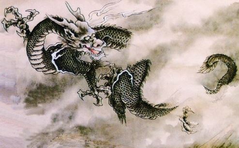 十二生肖龙图片大全,生肖龙图片 十二生肖龙图片大全,生肖龙图片