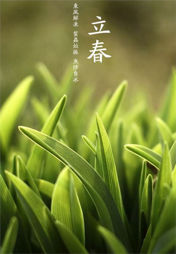 立春祝福语,立春节气祝福语集锦