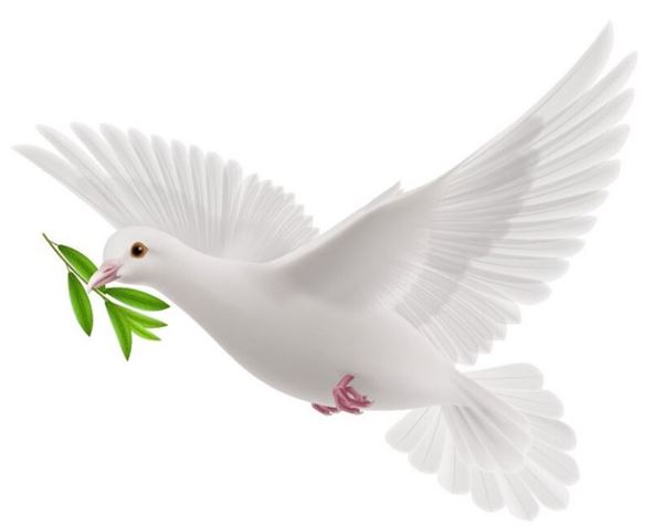 国际和平日(每年9月21日) 国际和平日(每年9月21日)
