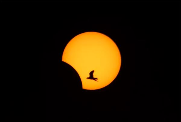7月精彩天象:天狗食日 土星冲日 天狗食月