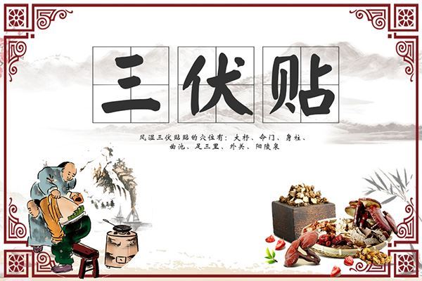 三伏贴
