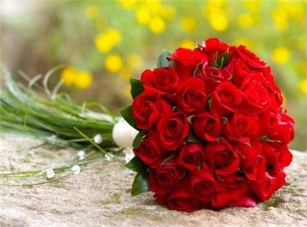 节日 情人节 网络情人节  520的花语是什么意思 玫瑰花的花语: 红玫瑰