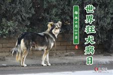 2022年9月28日是什么日子