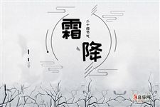 今年霜降是几月几日2025