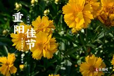 今年的重阳节是哪一天几月几号2025
