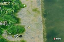 2026年谷雨是几月几日