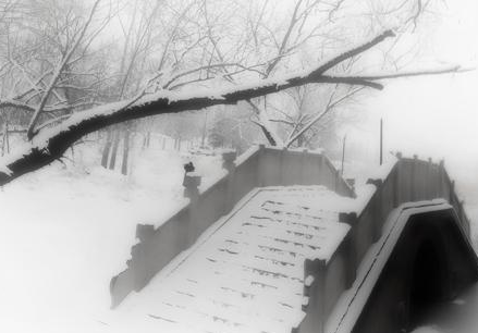 大雪 大雪