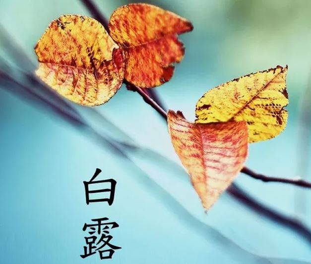 白露(2018.9.8) 白露(2018.9.8)