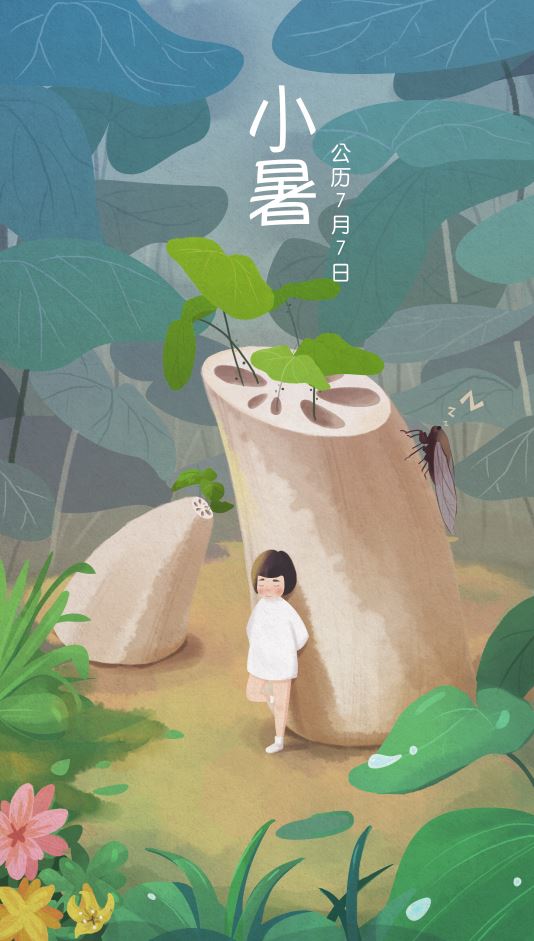 暑图片,小暑图片大全 暑图片,小暑图片大全