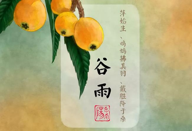 谷雨三候:萍始生,呜鸠拂其羽,戴任降于桑