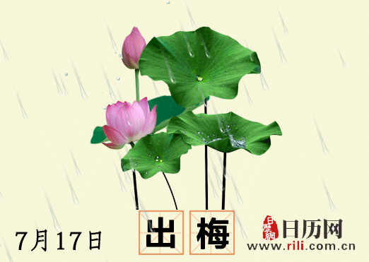 出梅入伏接踵至,告别凉爽迎高温