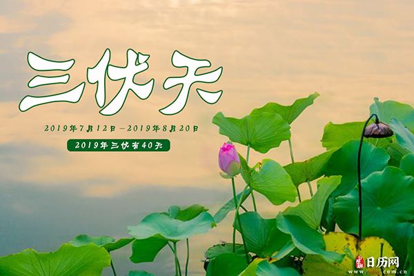 2019年三伏有多少天