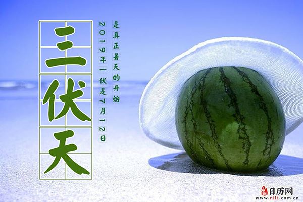 2019年一伏是几号