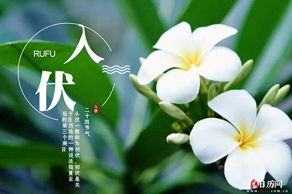 2019年头伏是哪天