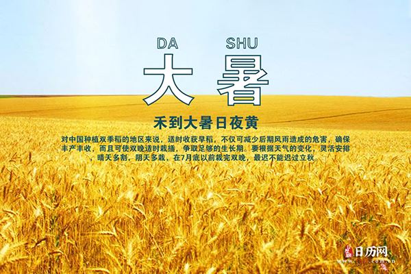 二十四节气之大暑的农业活动