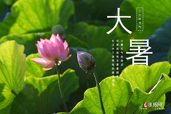 大暑天气的特点是什么