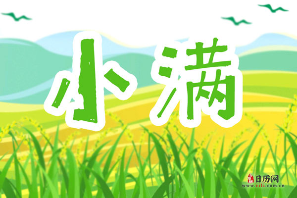 小满过后几天收麦子