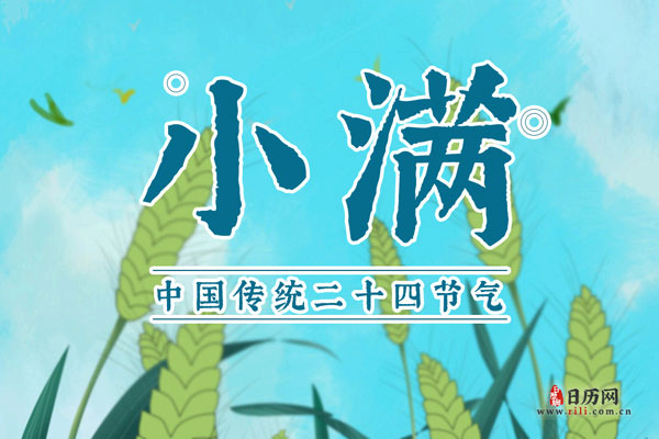 小满的时候有茶叶吗