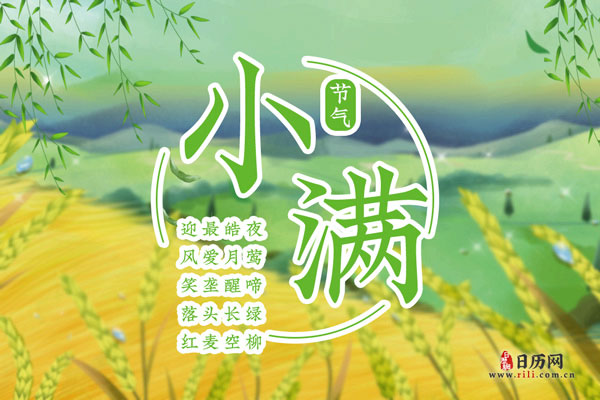 小满过后多少天收麦