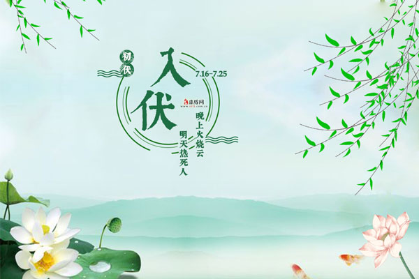  白色莲花池塘边飘动的柳枝