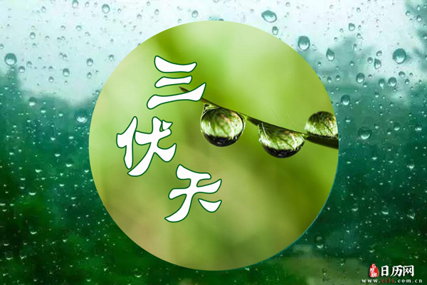 今年伏天一共有多少天2020年