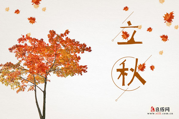立秋时节，枫叶纷纷从树上飘落