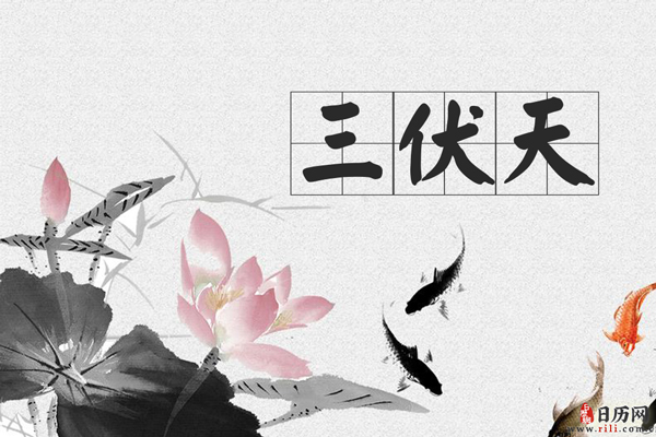 2020年出伏是什么时候