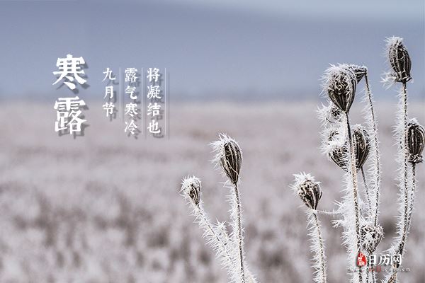 为什么"寒露脚不露" ?那如何做好防护呢?