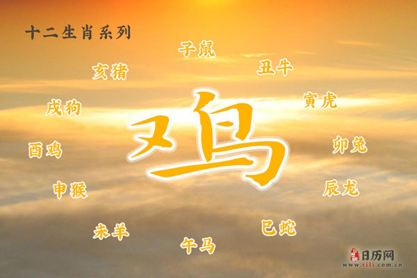 属鸡的和属猪的相配吗