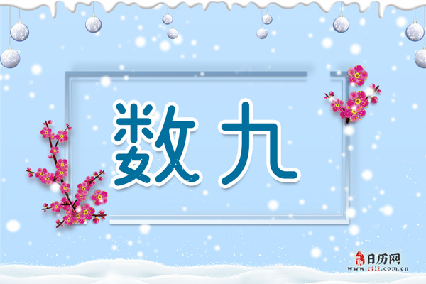 2020年啥时候进入一九