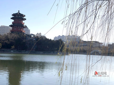 元旦祝福词语的顺口溜
