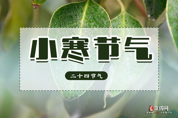 小寒节气吃什么好