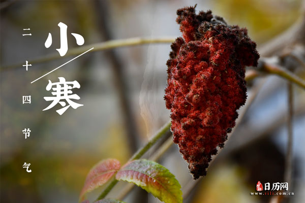小寒节气吃什么食物好