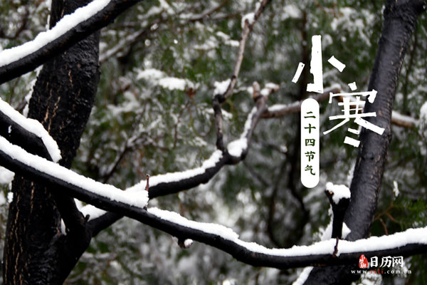 小寒的特点
