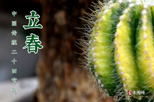 生肖到底是以立春还是以春节为标准？