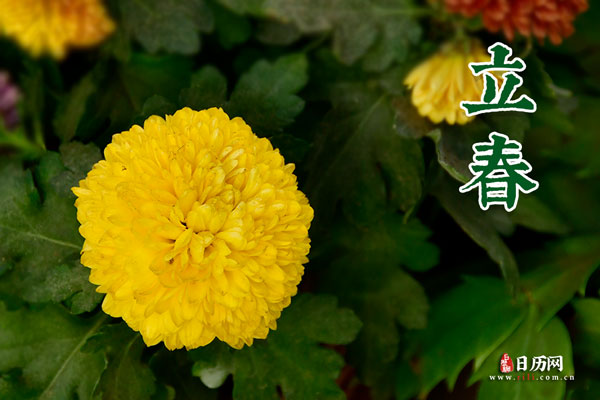 立春 (12).jpg