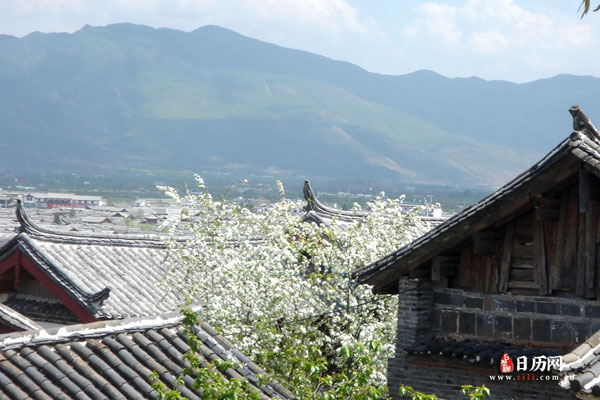 春节是立春还是初一