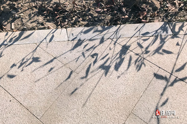 立春过后是什么节气