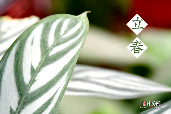 立春在春节前是寡妇年吗