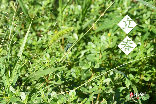刚好立春那天出生的人的命运，刚好立春那天出生的人命格