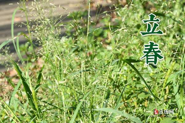 立春代表着什么