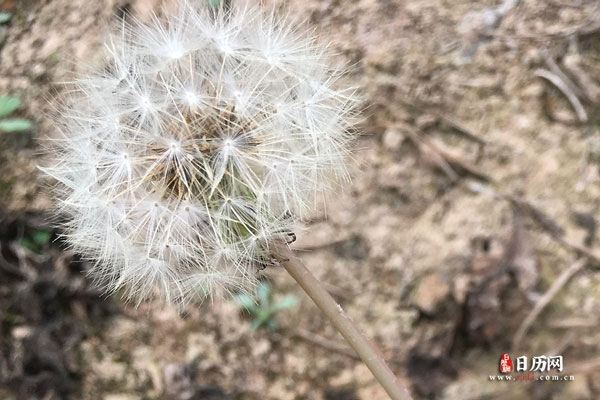 春天是多少月到多少月
