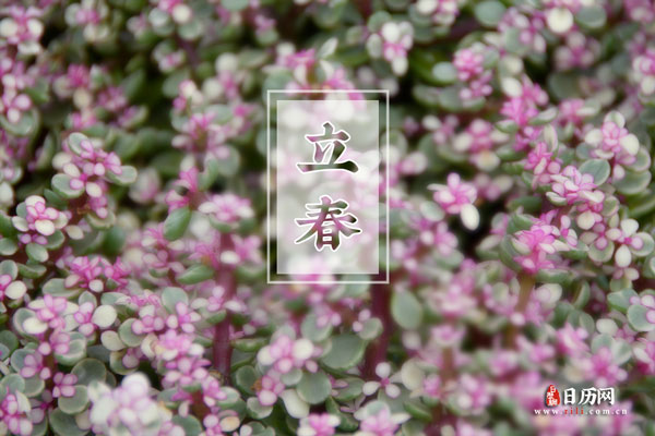 寡妇年是什么意思