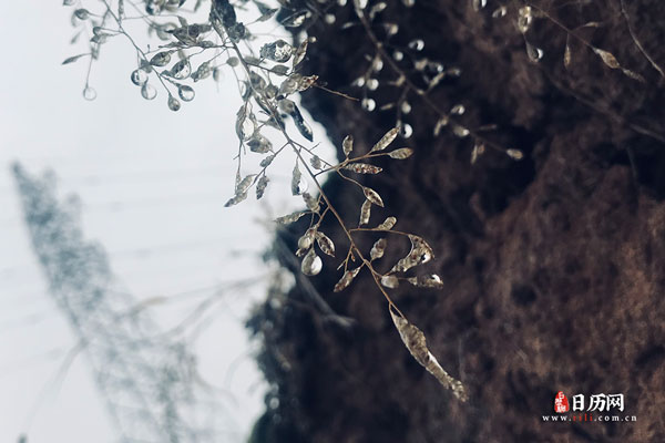 二0二一年春节高速免费时间