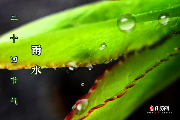 雨水节气什么意思