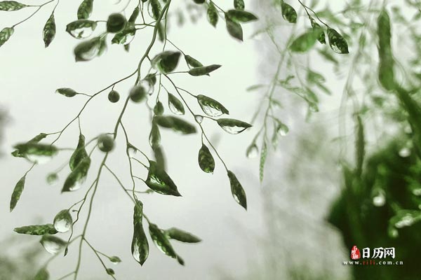 2021年雨水节气祝福语大全